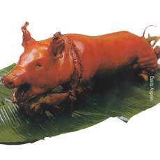 Lechon-a favorite dish amongst Philippine foods Lechon-a favorite dish amongst Philippine foods